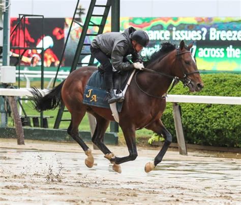belmont stakes trifecta picks|2022 Belmont Stakes: Trifecta Bet Guide & Picks .